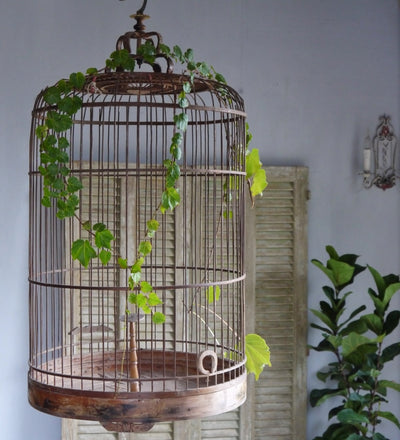 Vintage Bamboo Birdcage
