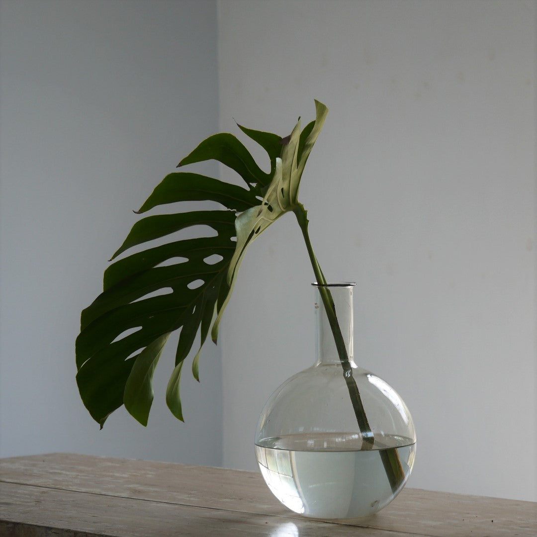 Apothecary-Florence Flasks, Antique, Byron Bay