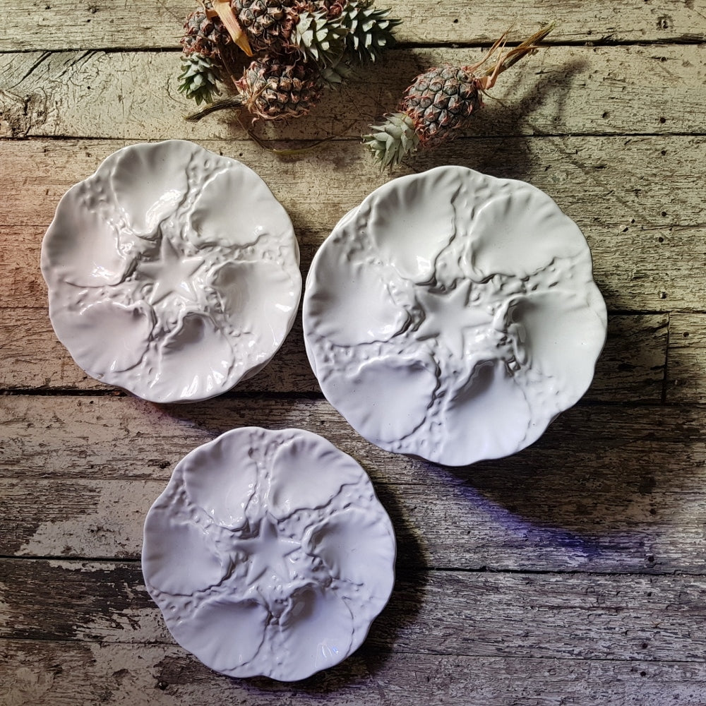French White Oyster Plates
