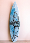 Surfboards | Elise Ottaway