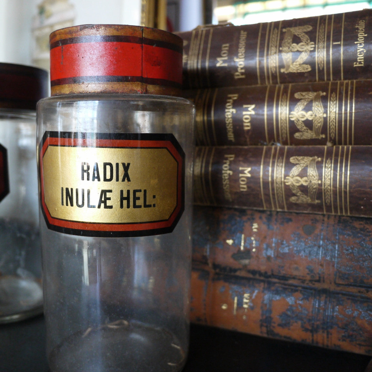 French Apothecary Jar